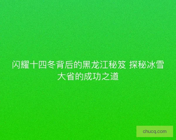 闪耀十四冬背后的黑龙江秘笈 探秘冰雪大省的成功之道