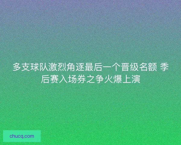 多支球队激烈角逐最后一个晋级名额 季后赛入场券之争火爆上演